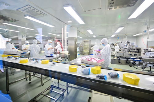 餐桌上的安全卫士 走进沈阳绿色工厂，揭秘食品产业的生产革命