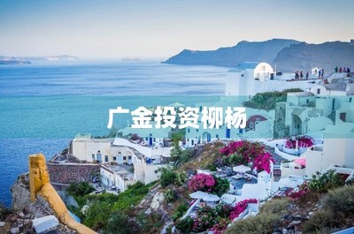 广金投资柳杨——广金资本企业简介